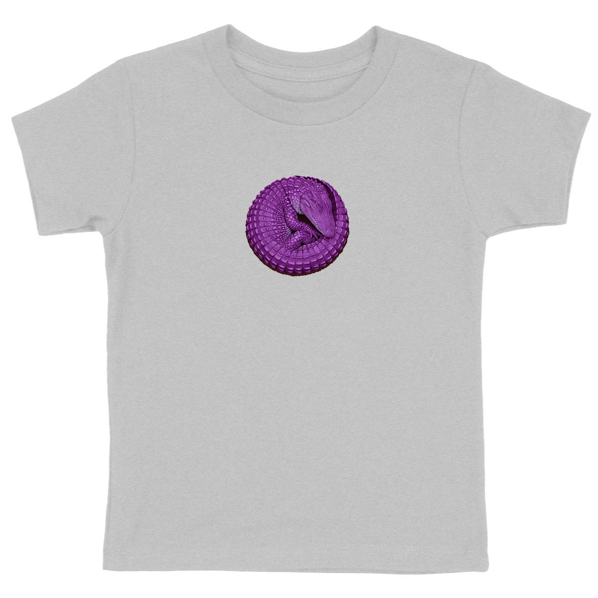 Purple Dragon Kids Tee Shirt - front_heathergrey